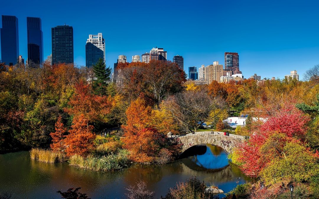 5 Tips to Excel in the UA NYC Half Marathon